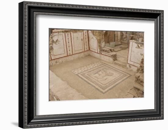 Lion Mosaic, Murals and Frescoes in a Terrace House, Curetes Street-Eleanor Scriven-Framed Photographic Print