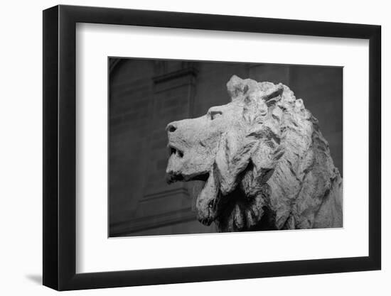 Lion of the Art Institute Chicago BW-Steve Gadomski-Framed Photographic Print