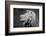 Lion of the Art Institute Chicago BW-Steve Gadomski-Framed Photographic Print