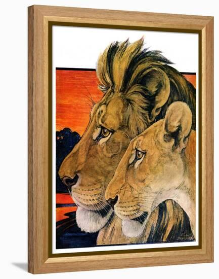 "Lion Pair,"April 27, 1929-Paul Bransom-Framed Premier Image Canvas