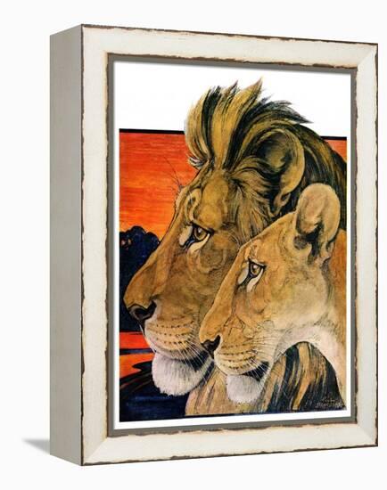 "Lion Pair,"April 27, 1929-Paul Bransom-Framed Premier Image Canvas