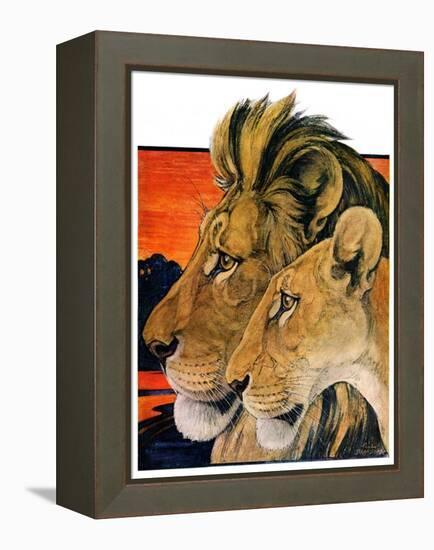 "Lion Pair,"April 27, 1929-Paul Bransom-Framed Premier Image Canvas