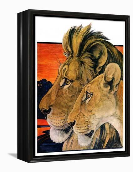 "Lion Pair,"April 27, 1929-Paul Bransom-Framed Premier Image Canvas