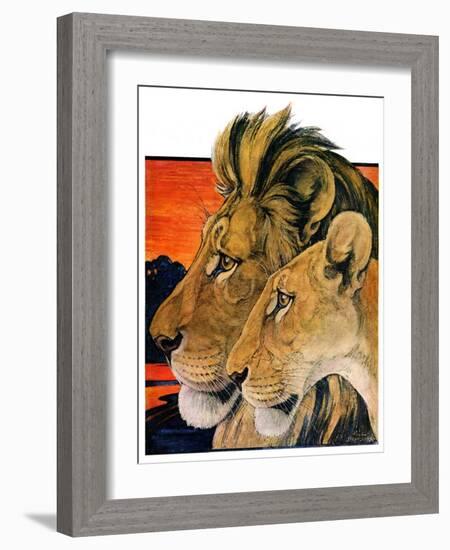 "Lion Pair,"April 27, 1929-Paul Bransom-Framed Giclee Print