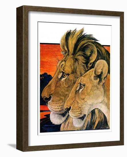 "Lion Pair,"April 27, 1929-Paul Bransom-Framed Giclee Print