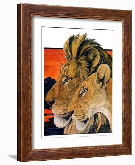 "Lion Pair,"April 27, 1929-Paul Bransom-Framed Giclee Print