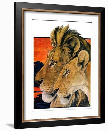 "Lion Pair,"April 27, 1929-Paul Bransom-Framed Giclee Print