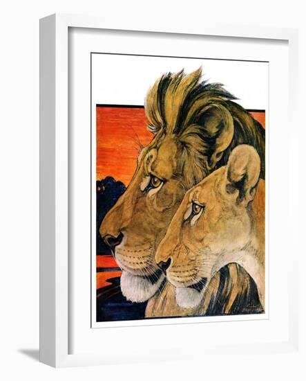 "Lion Pair,"April 27, 1929-Paul Bransom-Framed Giclee Print