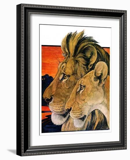 "Lion Pair,"April 27, 1929-Paul Bransom-Framed Giclee Print