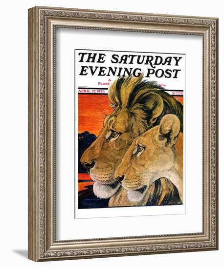 "Lion Pair," Saturday Evening Post Cover, April 27, 1929-Paul Bransom-Framed Giclee Print