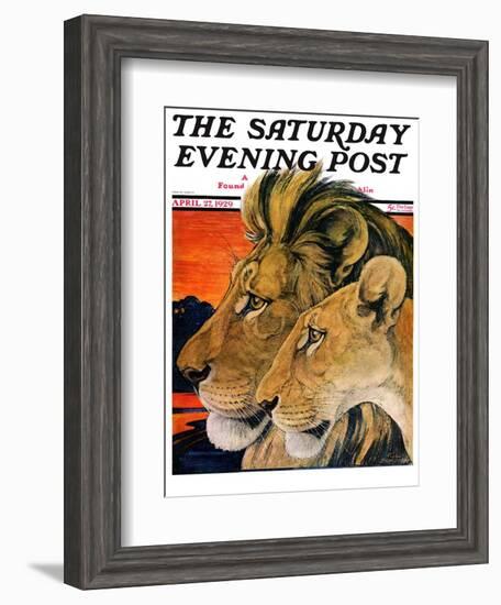 "Lion Pair," Saturday Evening Post Cover, April 27, 1929-Paul Bransom-Framed Giclee Print