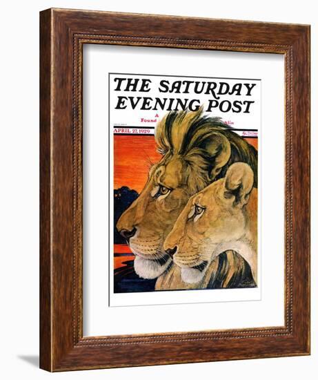 "Lion Pair," Saturday Evening Post Cover, April 27, 1929-Paul Bransom-Framed Giclee Print