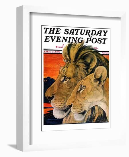 "Lion Pair," Saturday Evening Post Cover, April 27, 1929-Paul Bransom-Framed Giclee Print