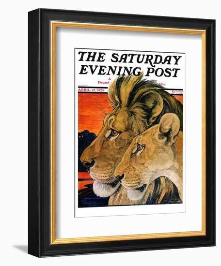 "Lion Pair," Saturday Evening Post Cover, April 27, 1929-Paul Bransom-Framed Giclee Print