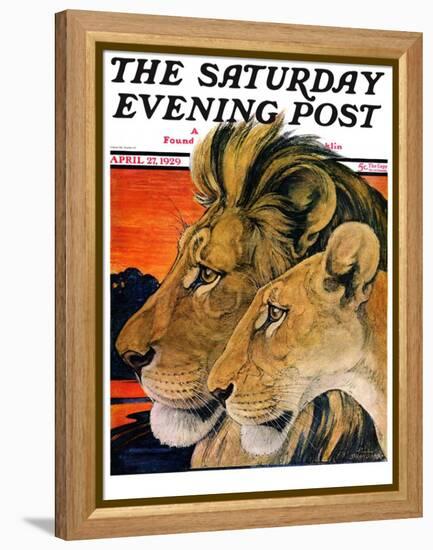 "Lion Pair," Saturday Evening Post Cover, April 27, 1929-Paul Bransom-Framed Premier Image Canvas