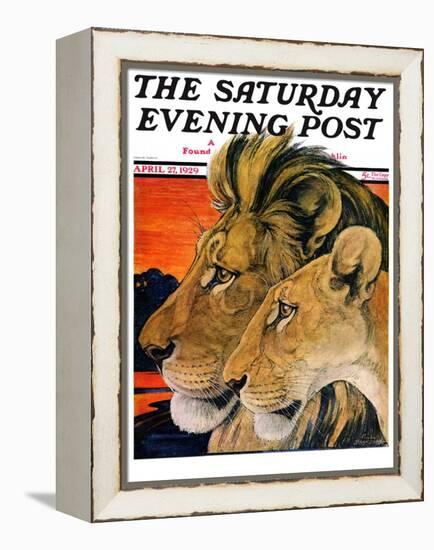 "Lion Pair," Saturday Evening Post Cover, April 27, 1929-Paul Bransom-Framed Premier Image Canvas