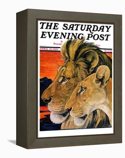 "Lion Pair," Saturday Evening Post Cover, April 27, 1929-Paul Bransom-Framed Premier Image Canvas