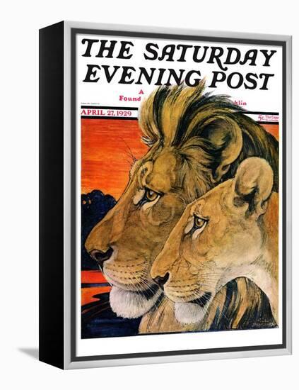 "Lion Pair," Saturday Evening Post Cover, April 27, 1929-Paul Bransom-Framed Premier Image Canvas