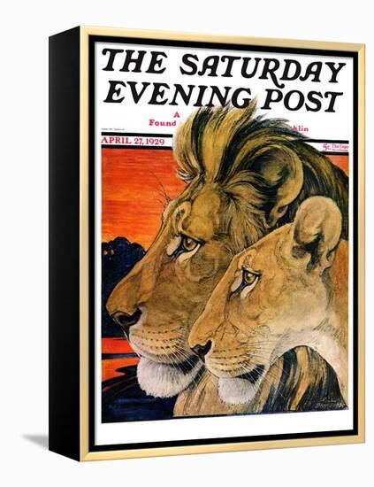 "Lion Pair," Saturday Evening Post Cover, April 27, 1929-Paul Bransom-Framed Premier Image Canvas