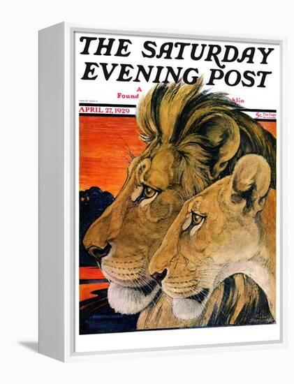 "Lion Pair," Saturday Evening Post Cover, April 27, 1929-Paul Bransom-Framed Premier Image Canvas