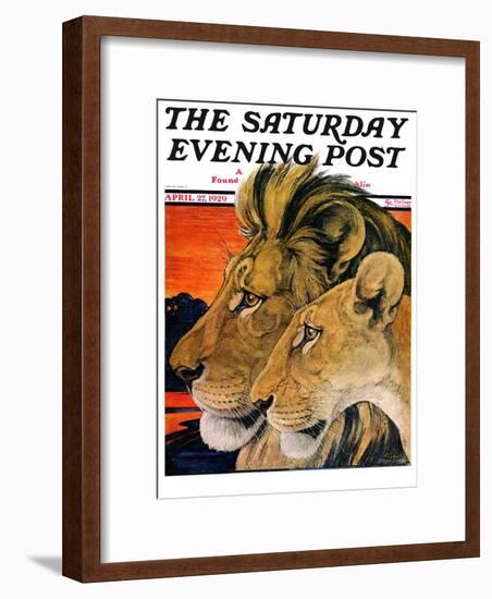 "Lion Pair," Saturday Evening Post Cover, April 27, 1929-Paul Bransom-Framed Giclee Print