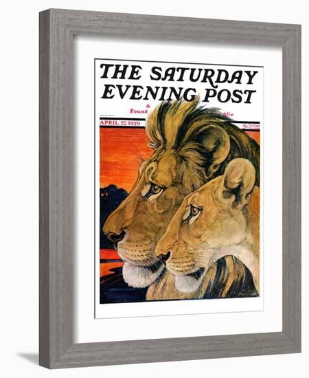 "Lion Pair," Saturday Evening Post Cover, April 27, 1929-Paul Bransom-Framed Giclee Print