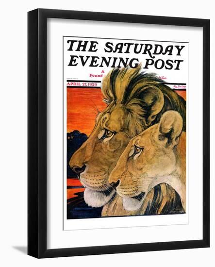 "Lion Pair," Saturday Evening Post Cover, April 27, 1929-Paul Bransom-Framed Giclee Print