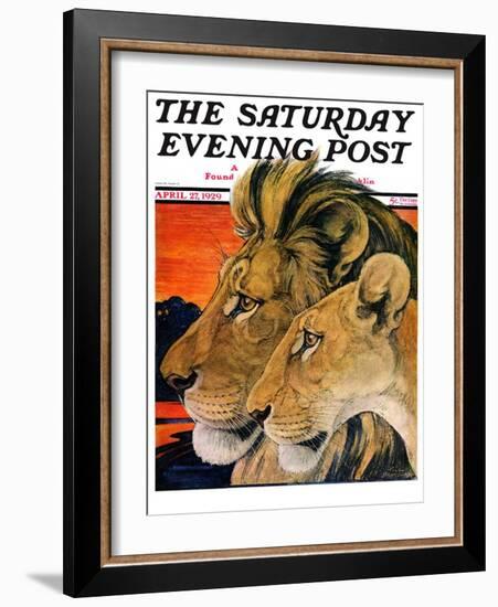 "Lion Pair," Saturday Evening Post Cover, April 27, 1929-Paul Bransom-Framed Giclee Print