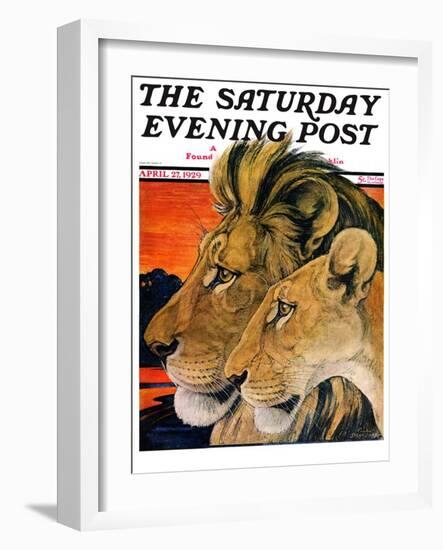 "Lion Pair," Saturday Evening Post Cover, April 27, 1929-Paul Bransom-Framed Giclee Print