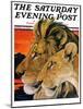 "Lion Pair," Saturday Evening Post Cover, April 27, 1929-Paul Bransom-Mounted Giclee Print
