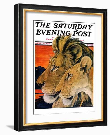 "Lion Pair," Saturday Evening Post Cover, April 27, 1929-Paul Bransom-Framed Giclee Print