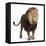 Lion, Panthera Leo, 8 Years Old, Standing in Front of White Background-Life on White-Framed Premier Image Canvas