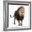 Lion, Panthera Leo, 8 Years Old, Standing in Front of White Background-Life on White-Framed Photographic Print