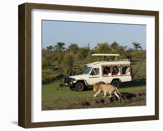 Lion (Panthera Leo) and Safari Vehicle, Masai Mara, Kenya, East Africa, Africa-Sergio Pitamitz-Framed Photographic Print