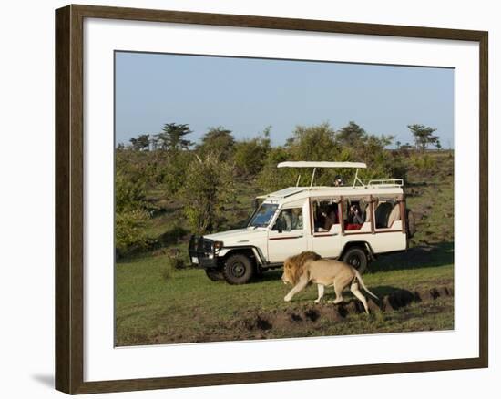 Lion (Panthera Leo) and Safari Vehicle, Masai Mara, Kenya, East Africa, Africa-Sergio Pitamitz-Framed Photographic Print