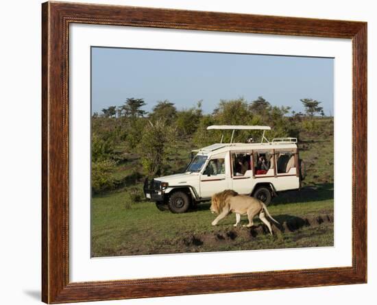 Lion (Panthera Leo) and Safari Vehicle, Masai Mara, Kenya, East Africa, Africa-Sergio Pitamitz-Framed Photographic Print