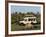 Lion (Panthera Leo) and Safari Vehicle, Masai Mara, Kenya, East Africa, Africa-Sergio Pitamitz-Framed Photographic Print