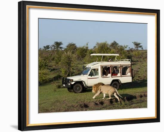 Lion (Panthera Leo) and Safari Vehicle, Masai Mara, Kenya, East Africa, Africa-Sergio Pitamitz-Framed Photographic Print