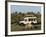 Lion (Panthera Leo) and Safari Vehicle, Masai Mara, Kenya, East Africa, Africa-Sergio Pitamitz-Framed Photographic Print