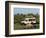 Lion (Panthera Leo) and Safari Vehicle, Masai Mara, Kenya, East Africa, Africa-Sergio Pitamitz-Framed Photographic Print