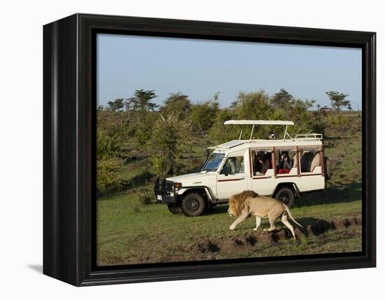 Lion (Panthera Leo) and Safari Vehicle, Masai Mara, Kenya, East Africa, Africa-Sergio Pitamitz-Framed Premier Image Canvas