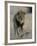 Lion (Panthera Leo), Chobe National Park, Savuti, Botswana, Africa-Thorsten Milse-Framed Photographic Print