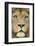 Lion (Panthera Leo) Close Up Portrait of Male, Captive Occurs in Africa-Edwin Giesbers-Framed Photographic Print