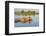 Lion (Panthera Leo) Crossing Water, Okavango Delta, Botswana-Wim van den Heever-Framed Photographic Print