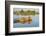 Lion (Panthera Leo) Crossing Water, Okavango Delta, Botswana-Wim van den Heever-Framed Photographic Print