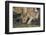 Lion (Panthera leo) cub drinking, Selous Game Reserve, Tanzania, East Africa, Africa-James Hager-Framed Photographic Print