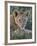 Lion (Panthera Leo) Cub, Ngorongoro Crater, Tanzania, East Africa, Africa-James Hager-Framed Photographic Print