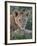 Lion (Panthera Leo) Cub, Ngorongoro Crater, Tanzania, East Africa, Africa-James Hager-Framed Photographic Print