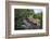 Lion (Panthera Leo) Cub on a Downed Tree Trunk in the Rain-James Hager-Framed Photographic Print