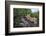 Lion (Panthera Leo) Cub on a Downed Tree Trunk in the Rain-James Hager-Framed Photographic Print